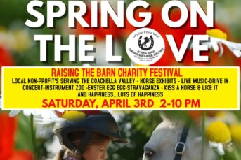 SPRING ON THE LOVE OPEN-AIR CHARITY FESTIVAL