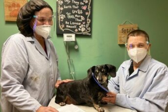 Animal Samaritans’ Veterinary Clinic Extends Service to 7 Days a Week.
