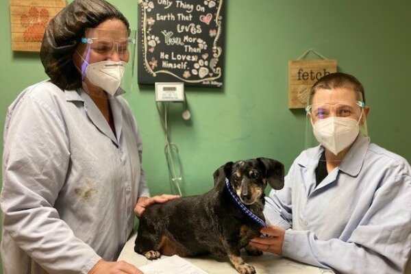 Animal Samaritans’ Veterinary Clinic Extends Service to 7 Days a Week.