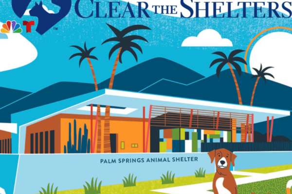 Palm Springs Animal Shelter to Host Their Annual Clear The Shelters Event August 12th and 13th