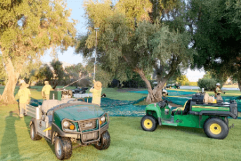Sunnylands to close for staff olive harvest on Sept. 28 