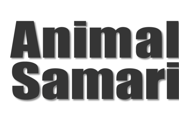 Animal Samaritans: 15th Annual “Men of the Desert Fashion Show and Luncheon”