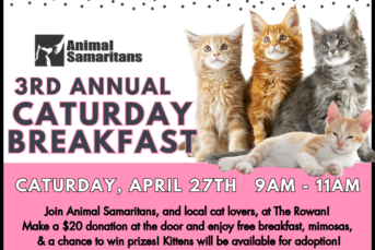 Animal Samaritans: 3rd Annual Caturday Breakfast at The Rowan
