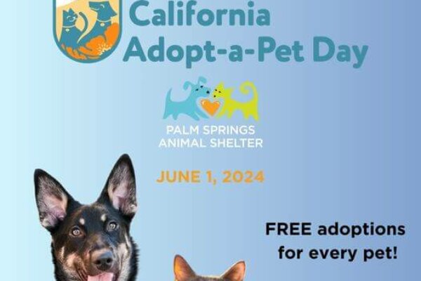 Palm Springs Animal Shelter: California Adopt-a-Pet Day