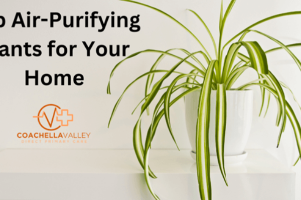 Coachella Valley Direct Primary Care: House Plants for Indoor Air Quality in Coachella Valley
