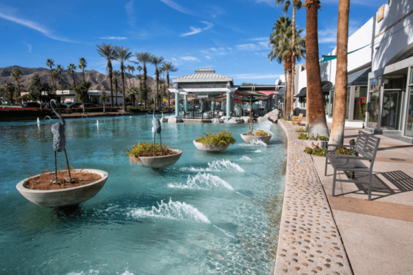 WellFest 2025: A Transformative Wellness Experience Awaits at The River in Rancho Mirage